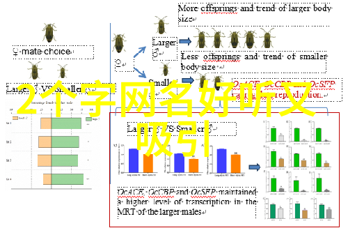 朴妮唛第二部种子女孩们的音乐梦想再启航