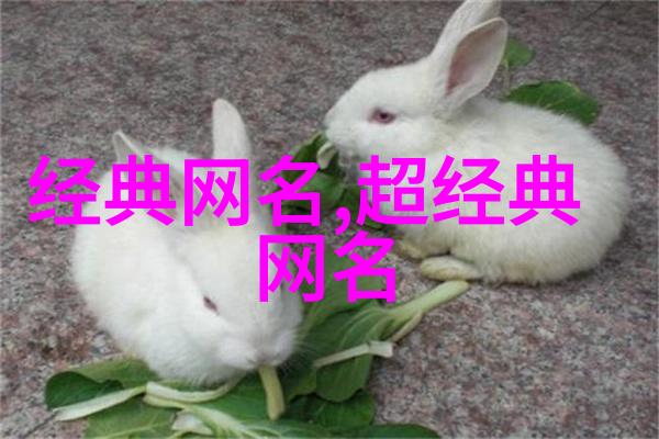 稳重大气的网名我叫沉默的大师