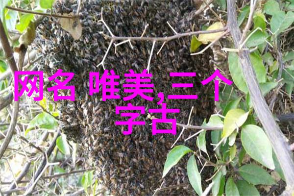 2018最新成熟稳重网名女生文艺古风大全 三世回眸换你一世迷离