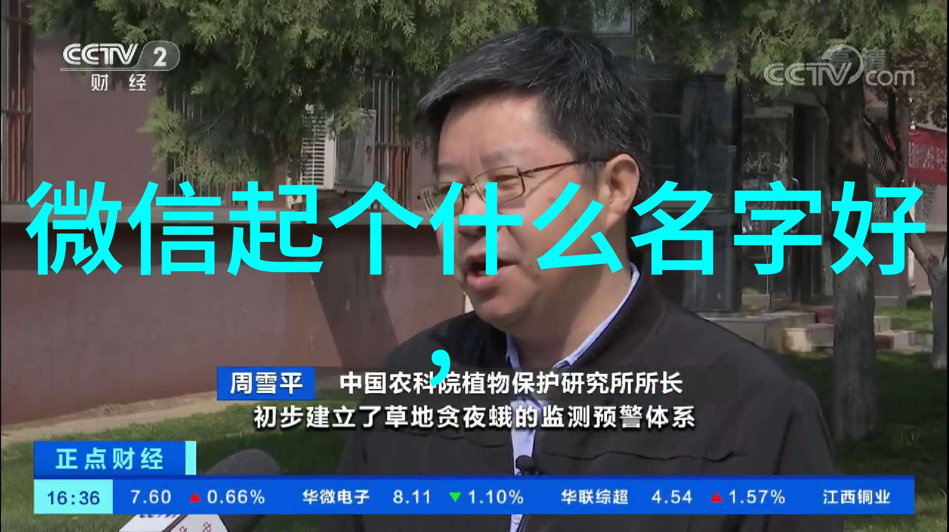 好听又欠揍的网名-音韵悠扬气质不凡探秘那些既美妙又不失格调的网络昵称