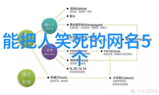 互联网上的黑话搞笑网名解密篇