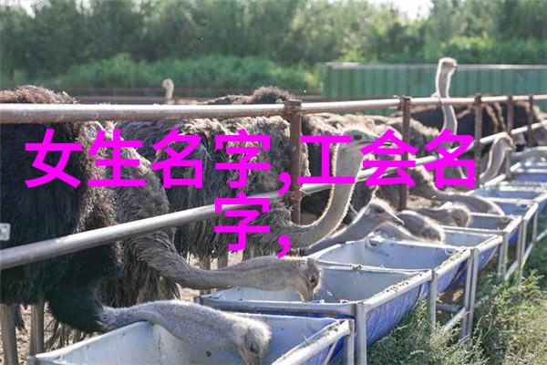 诗意游戏昵称TOP100数据分析揭秘最美古风名字