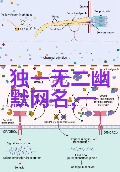 心境平和的艺术如何在喧嚣中寻找宁静