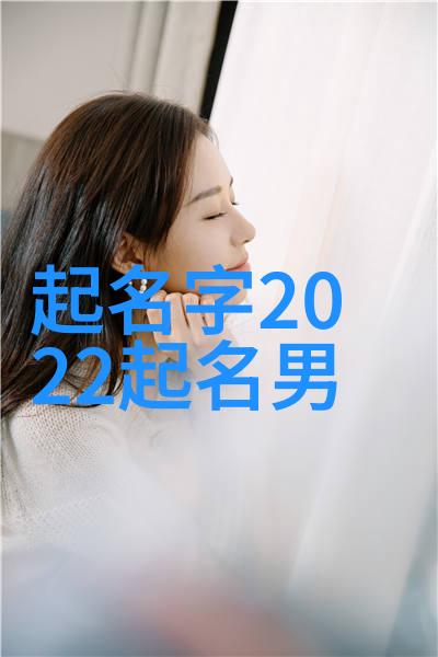 诗韵情缘探索2字有诗意的情侣网名的艺术与魅力