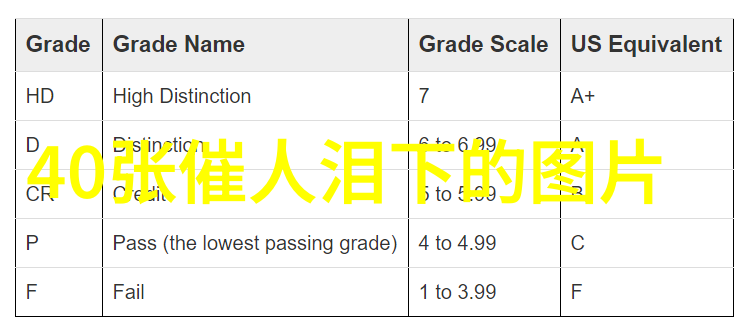 小清新网名的魅力探秘如何让你的网名散发出清新的气息