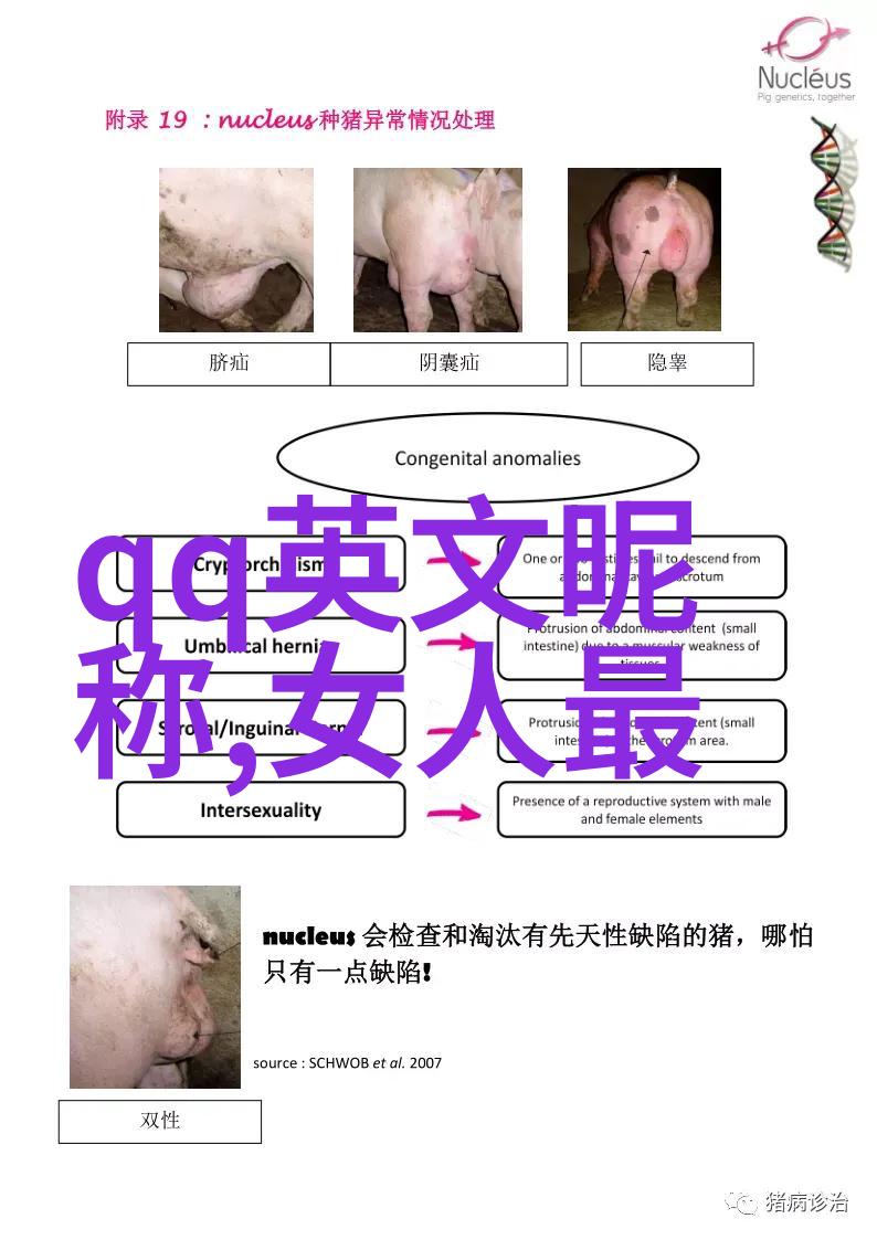 男人最好听的网名-铁血长江揭秘男人最具吸引力的网络化身