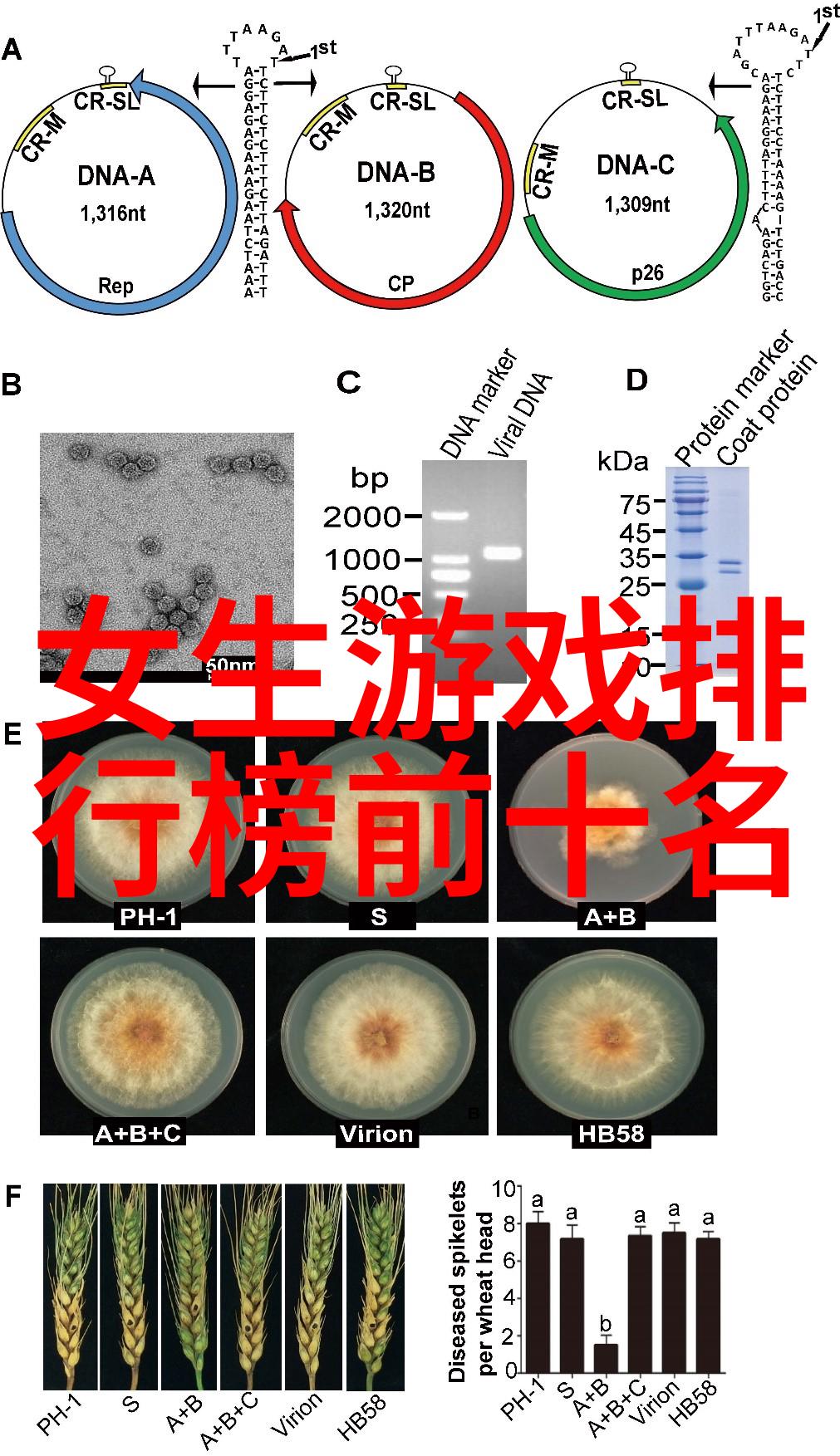 qq网名3个字的女生嘿約會