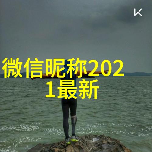 时间旅行者的名字录探索2021年的最佳微信昵称风格