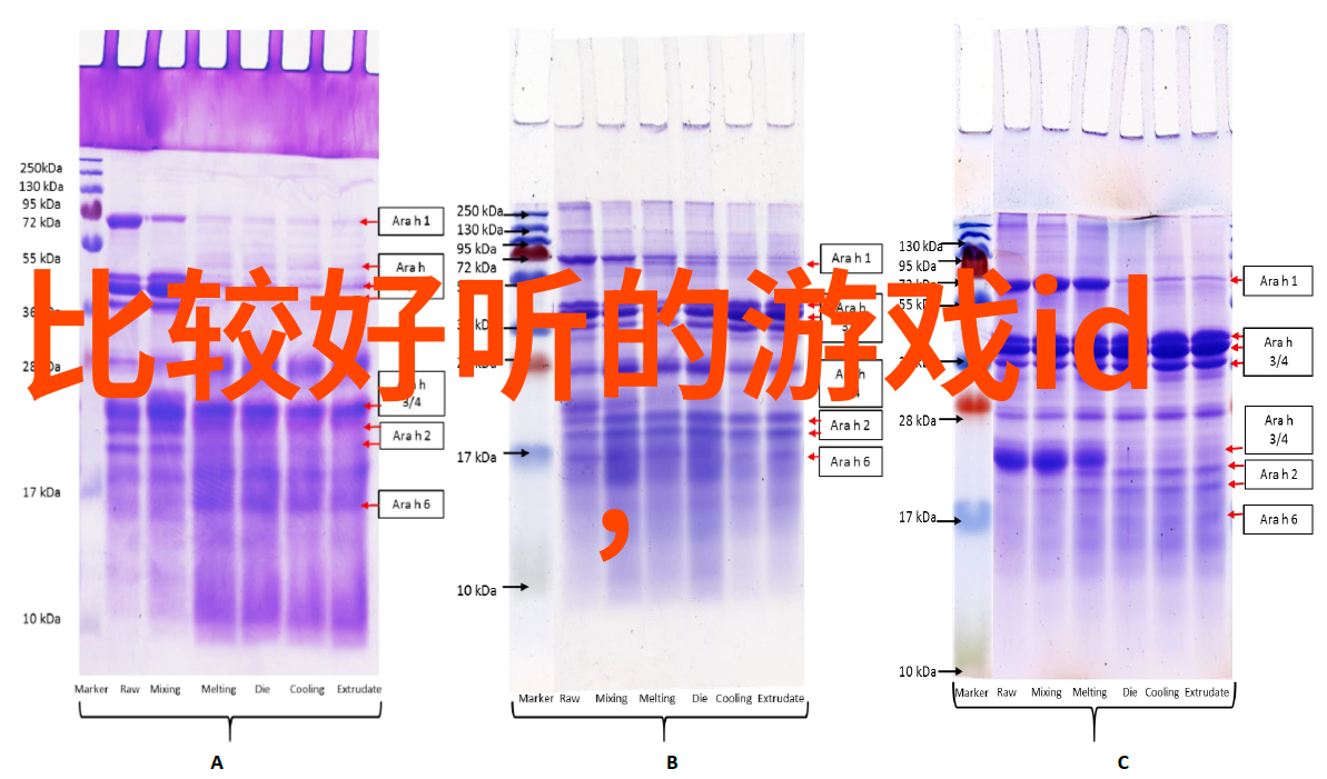 国学之美探索传统文化的名字艺术