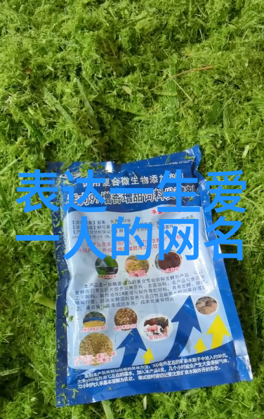 英文好看网名创意与个性之美