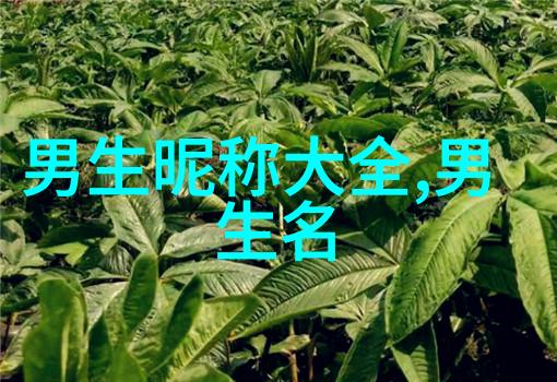 互联网情缘追踪那些以隐含爱意的昵称开始的人生故事