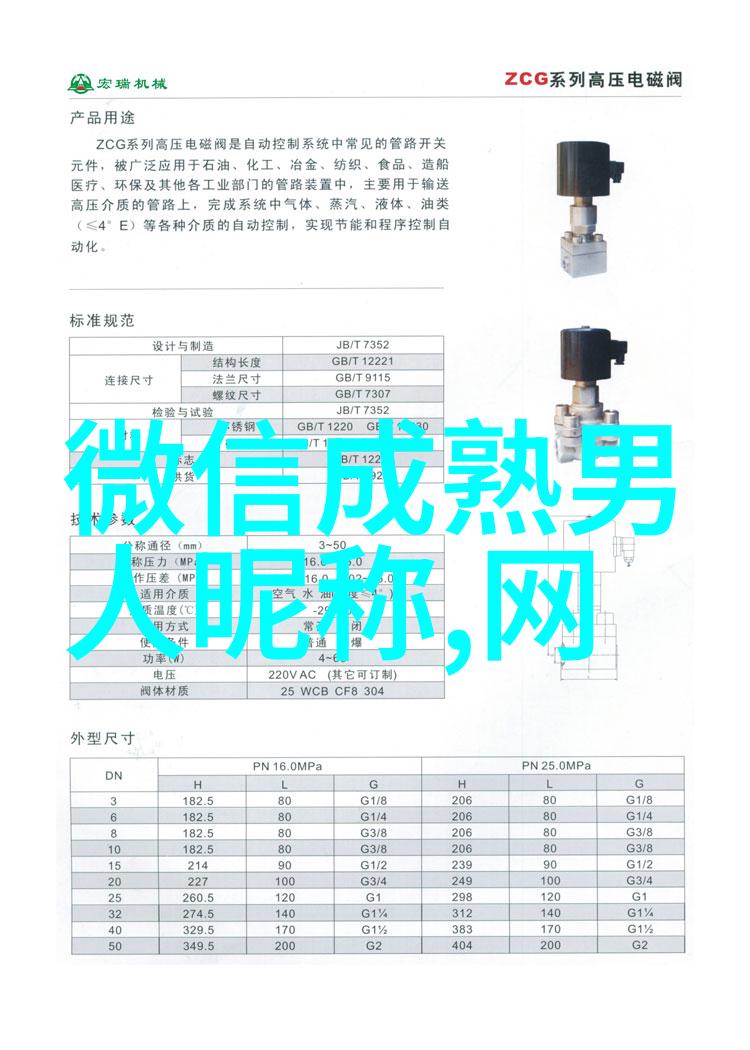 网名探索揭秘那些小众又好听的名字背后的故事