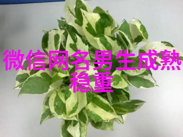 网名大全1000个创意独特的名字推荐