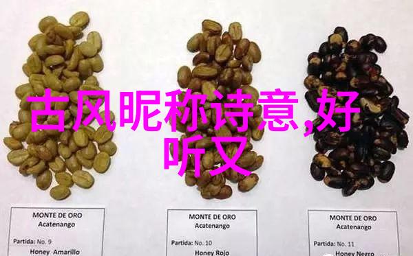 好听唯美网名选取指南轻触诗意的数字世界