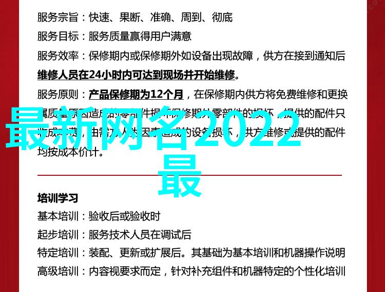 两个好兄弟网名我俩的网络征程从码农哥哥到程序小达人的故事