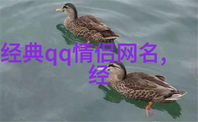 简约魅力2字昵称女生的气质之谜