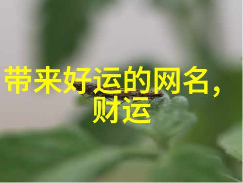 洋气王者荣耀名字大全