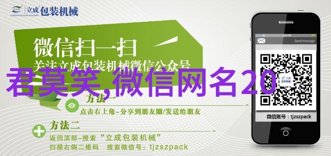 最欠揍又搞笑的网名如何用幽默与不拘一格赢得网络人气