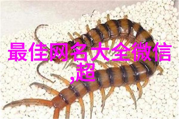 中年人有涵养的微信名-温文尔雅探索中年人的智慧之名