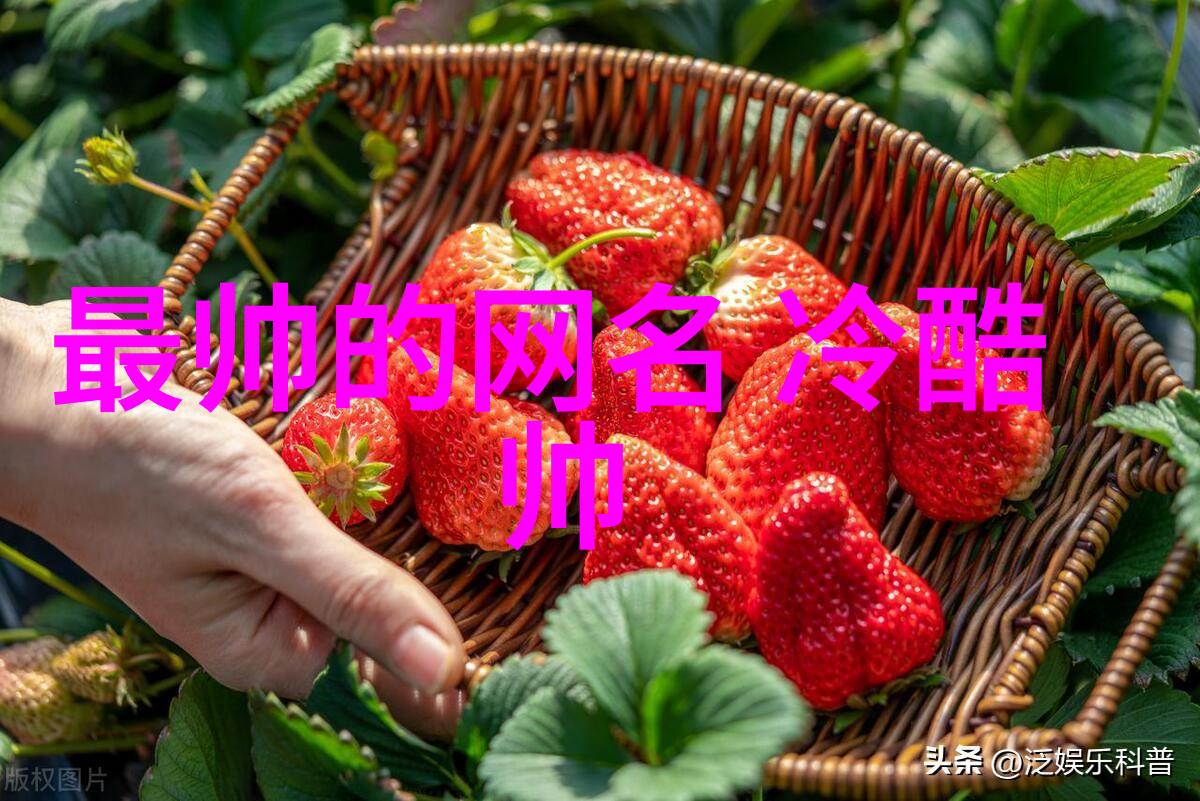 2022年木棉花的不变微信网名骑螃蟹看大海