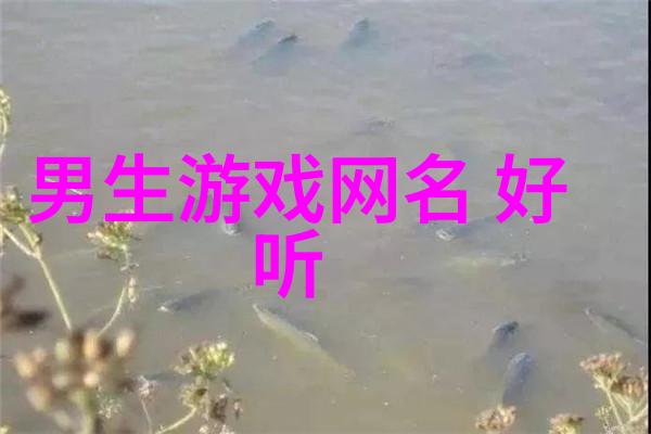 好听的诗意网名给你一个既酷又浪漫的网络身份