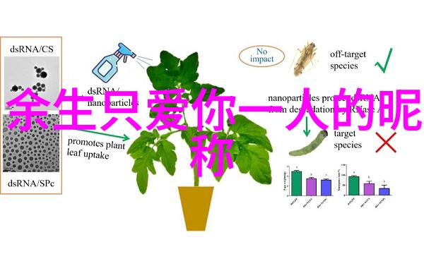 主题我想给自己取个简单舒心的昵称吧