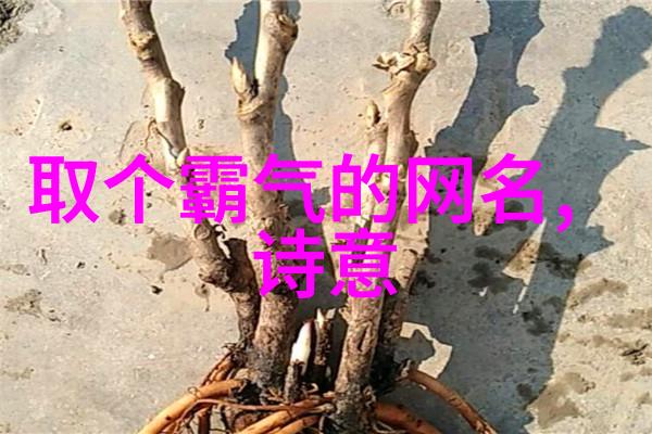 男生网名大全霸气-电竞战士霸气少年的网络征途