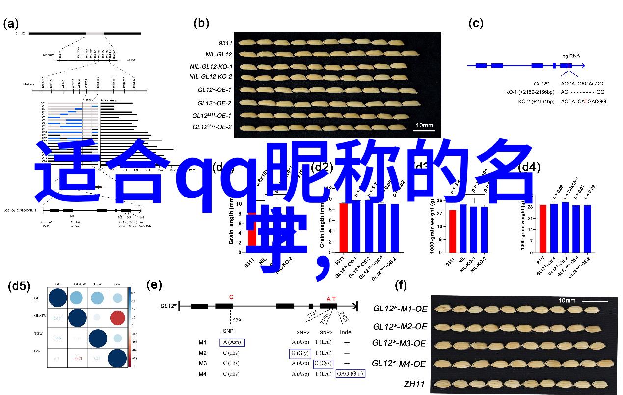 从痛苦到启示創意與表達現代年輕人的傷感情境與其網絡身份建構