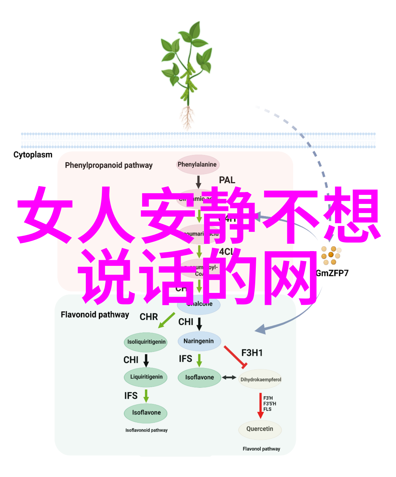 随风而动的灵魂自由女生网名精选