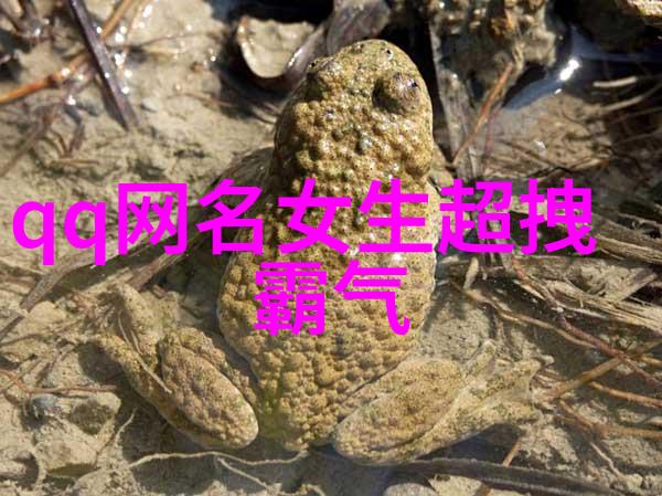 女人最吉利旺财的微信名咱们来点吉祥话题旺财必跟