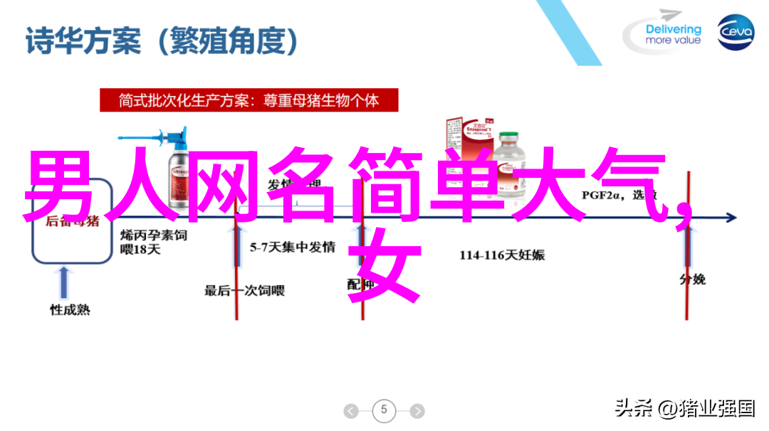 挑战常规揭秘那些成功运用的非主流超拽女孩女神 网名前沿策略