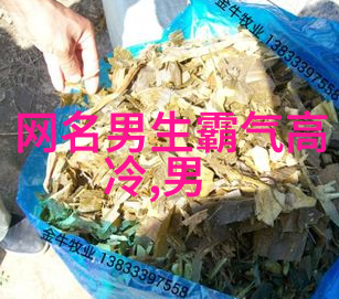 qq飞车车队网名个性好听的车队网名大全自然又骚又欠打的lol名字