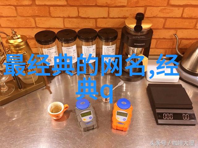 可爱而不失智慧深度剖析搞怪小众id背后的哲学内涵