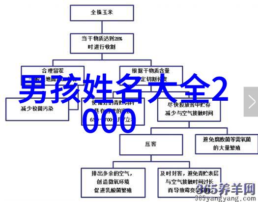 如何创造独一无二的好听稀少情侣网名