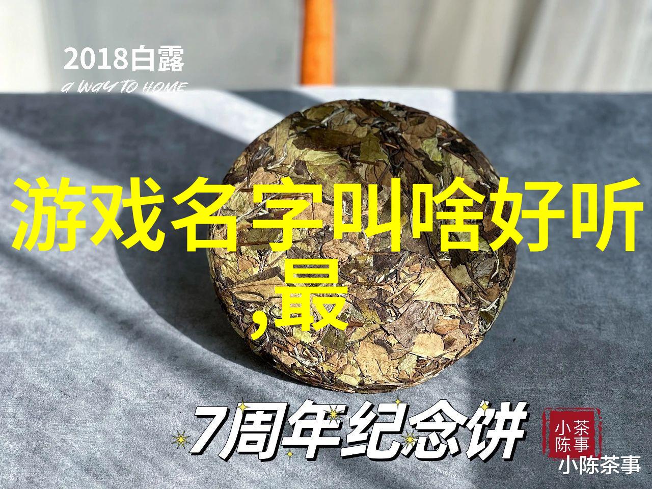 火星网恋寻找红色星球上的灵魂伴侣