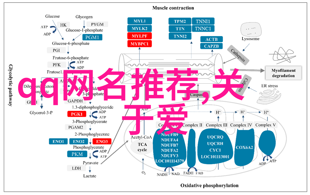 字谐妙趣横生网名创意不限于姓氏