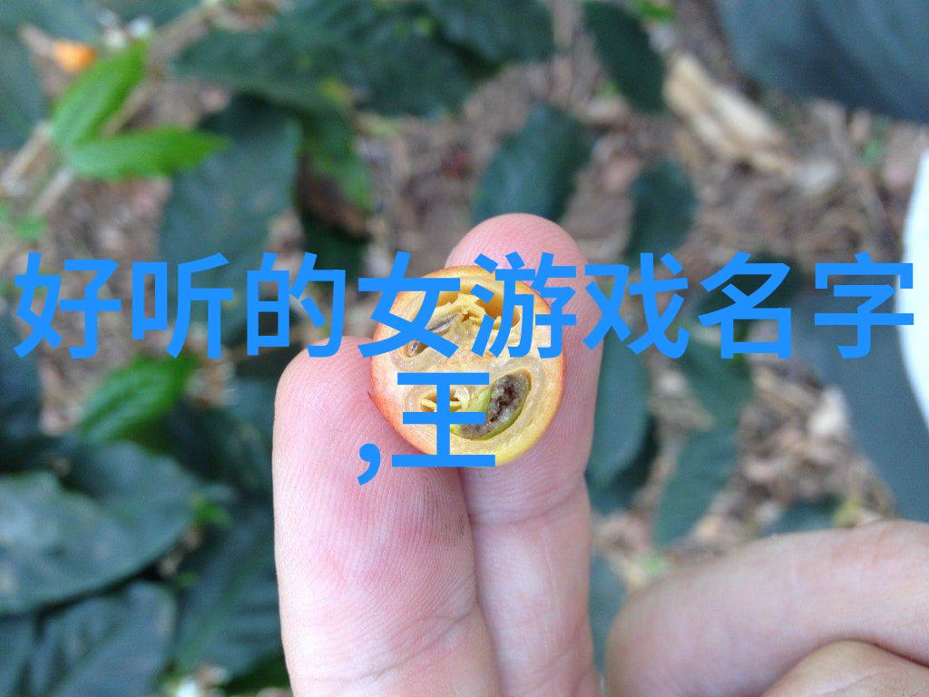 柴油机燃烧与旋转的诗篇