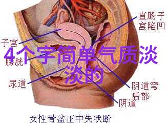 气质优雅不做作网名推荐雅致与自然的完美对偶