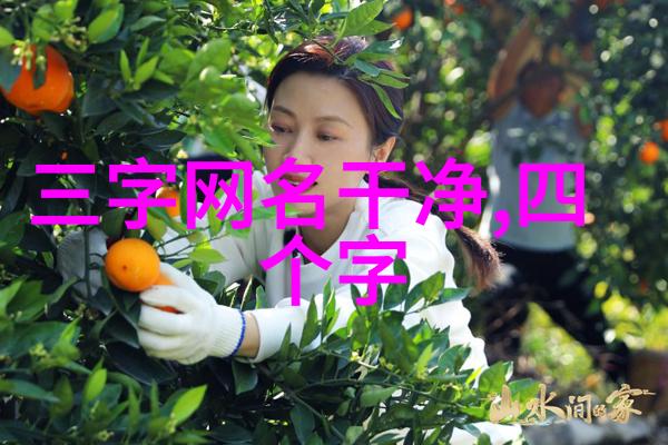 小清新女生网名-温柔绽放创意网名选择指南