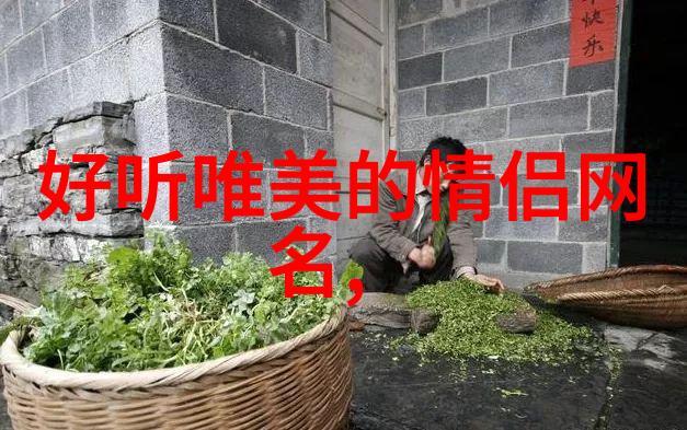 情侣网名精选管壳式冷却器下的浪漫篇