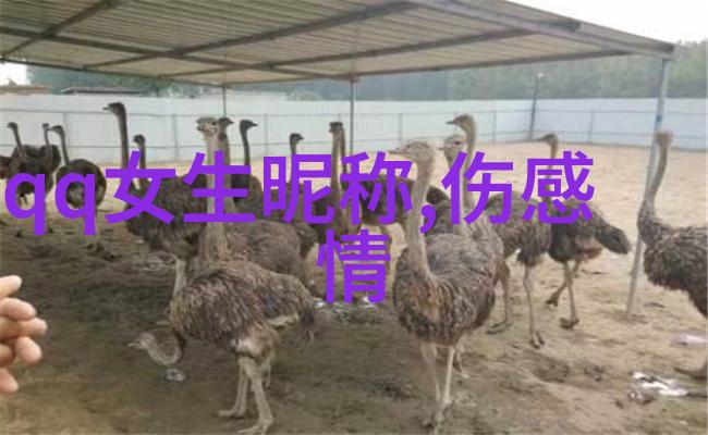 高级感的英文网名幽默大师的创意之旅