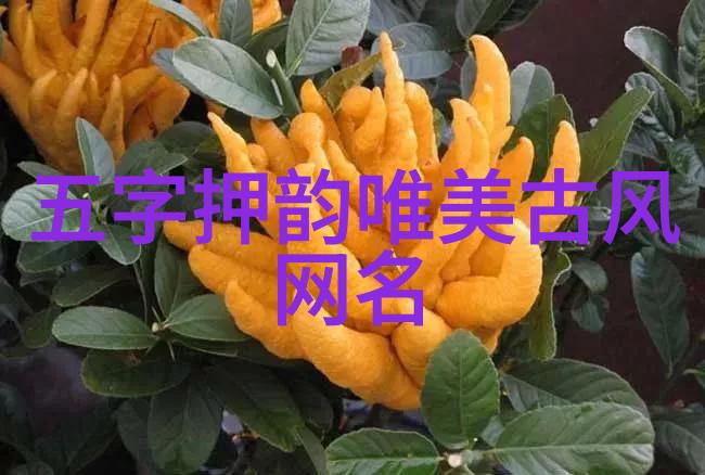 QQ经典网名我还记得那些年我们一起在QQ上用心挑选的网名