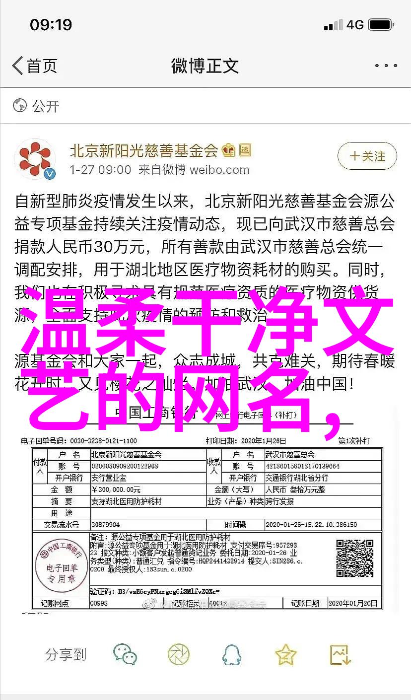 干净文艺网名女-雅致时尚探索干净文艺风格的网络美名