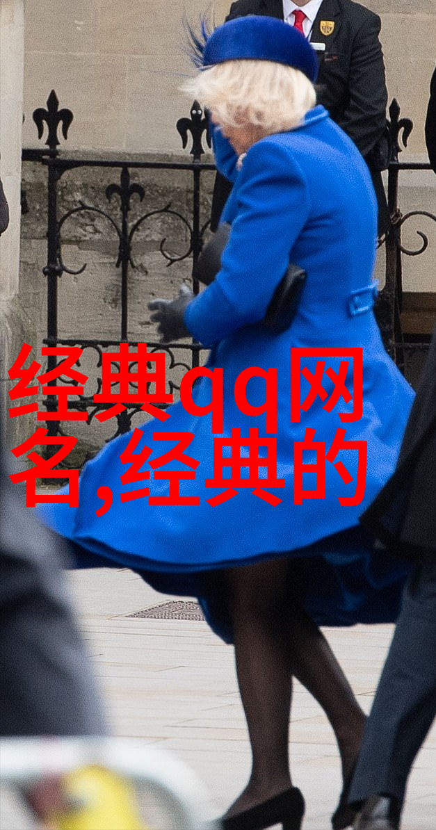 精英之谜单字密码与和平的守护者