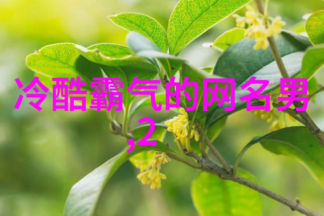 字母符号我是怎么学会识别那些奇怪字符的