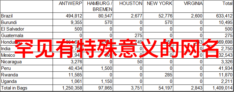 诗意双字编织网名的美妙旋律