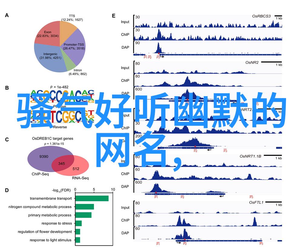 游戏名字个性网名我是剑与魔法的王者网名幻影刺客