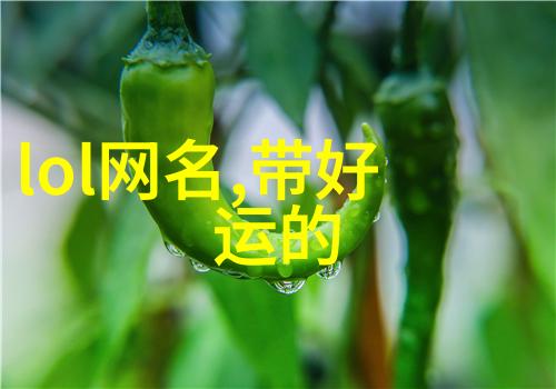 个性霸气网名-震撼网络如何打造独一无二的个性霸气网名