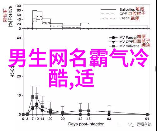 霸气网络名字典里的力量虚拟世界的尊严