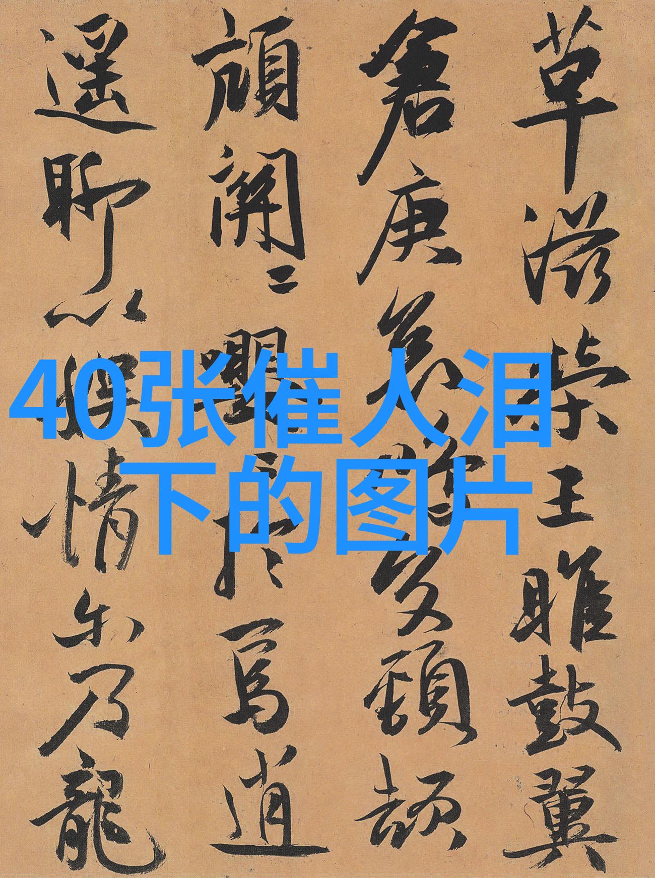 逆袭命运2023年取名生辰八字解析